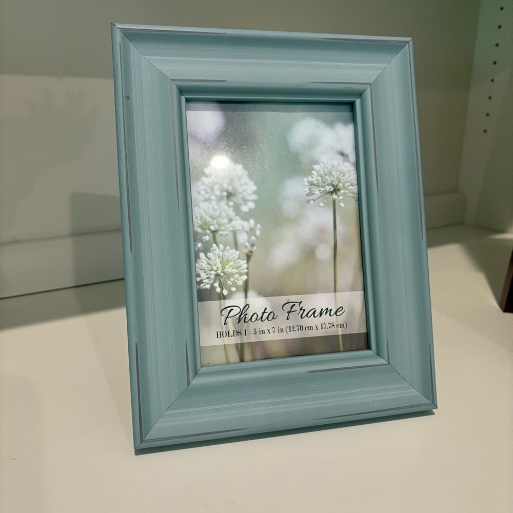 Link Blue Accent Picture Frame Classic Style